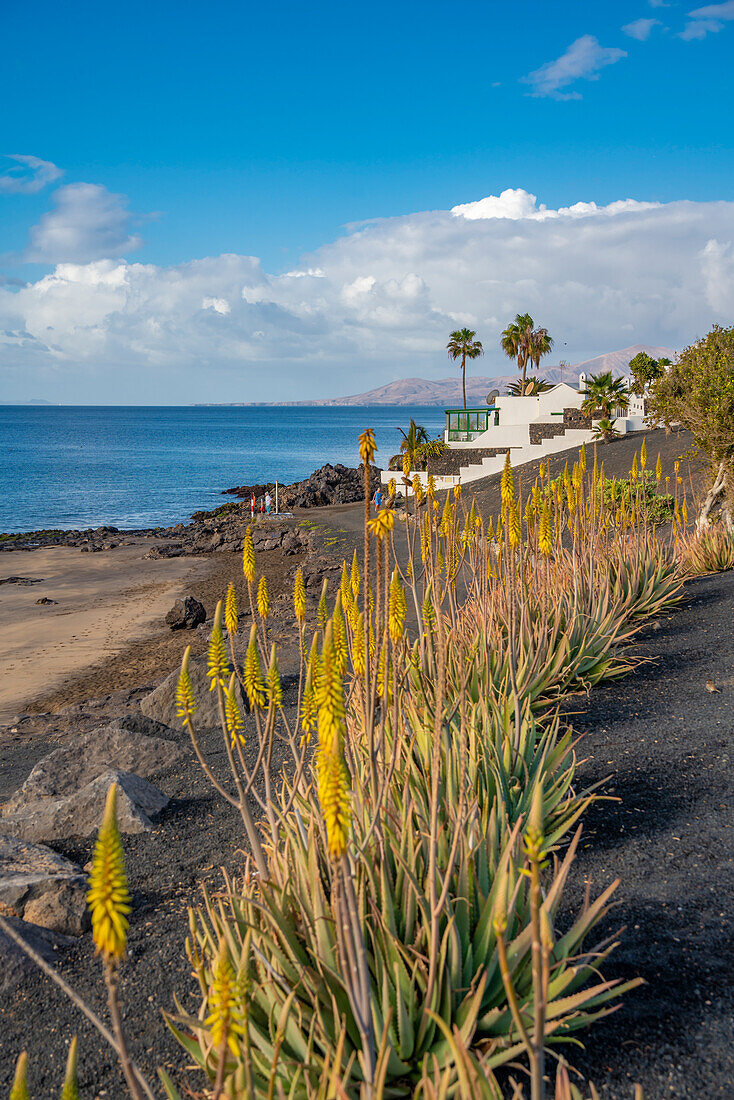 Blick auf die Küstenlinie und den Strand Playa El Barranquillo, Puerto Carmen, Lanzarote, Las Palmas, Kanarische Inseln, Spanien, Atlantik, Europa