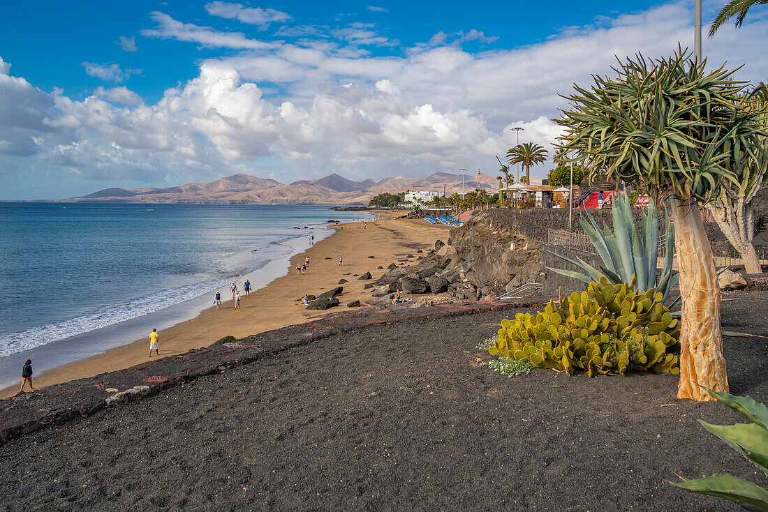 Blick über den Strand Playa Grande und den Atlantischen Ozean, Puerto del Carmen, Lanzarote, Las Palmas, Kanarische Inseln, Spanien, Atlantik, Europa