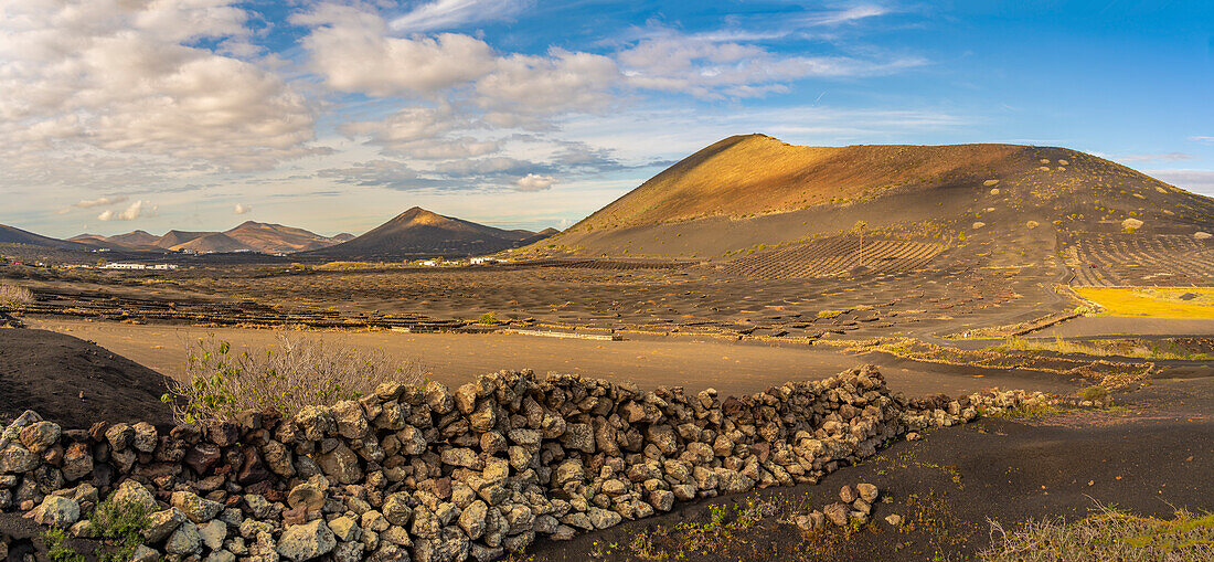 Blick auf Vulkanlandschaft und Weinberge bei La Geria, La Geria, Lanzarote, Las Palmas, Kanarische Inseln, Spanien, Atlantik, Europa