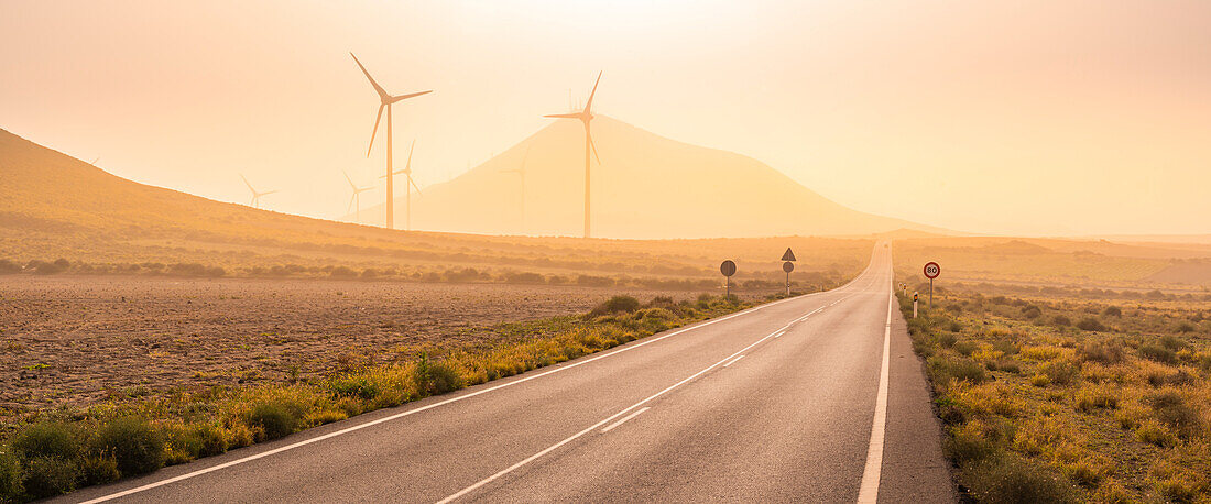 View of wind turbines and landscape near Tinajo, Tinajo, Lanzarote, Las Palmas, Canary Islands, Spain, Atlantic, Europe