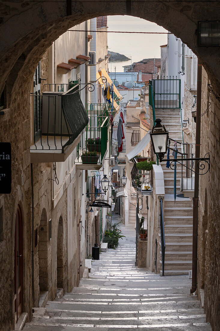Enge Straße und steile Stufen der Via Celestino V am frühen Morgen, Vieste, Halbinsel Gargano, Provinz Foggia, Apulien, Italien, Europa