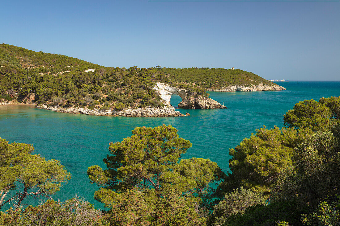 Arco di San Felice arch and Gargano peninsula coastline, Vieste, Gargano peninsula, Foggia province, Puglia, Italy, Europe