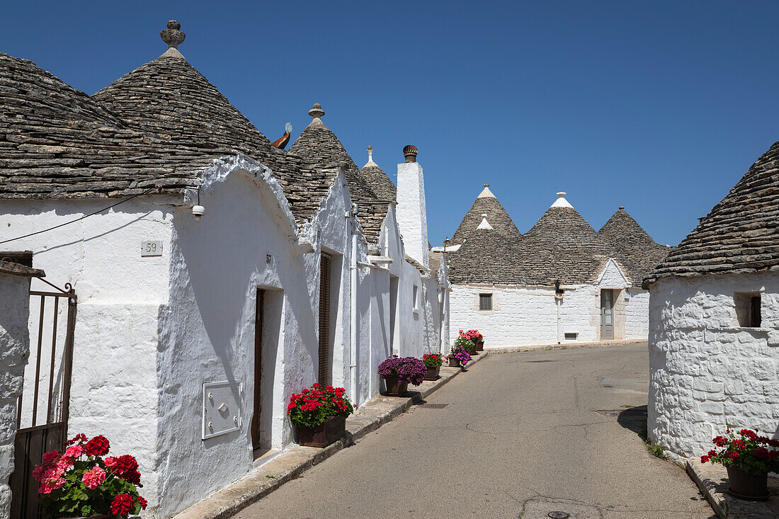 Weiß getünchte Trulli-Häuser entlang der Straße in der Altstadt, Alberobello, UNESCO-Weltkulturerbe, Apulien, Italien, Europa