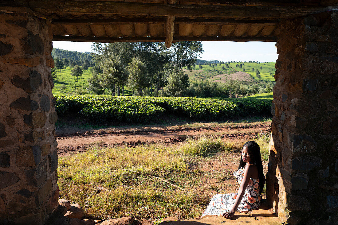 Afrika, Malawi, südliches Afrika, Distrikt Mulanje, Teeanbau.