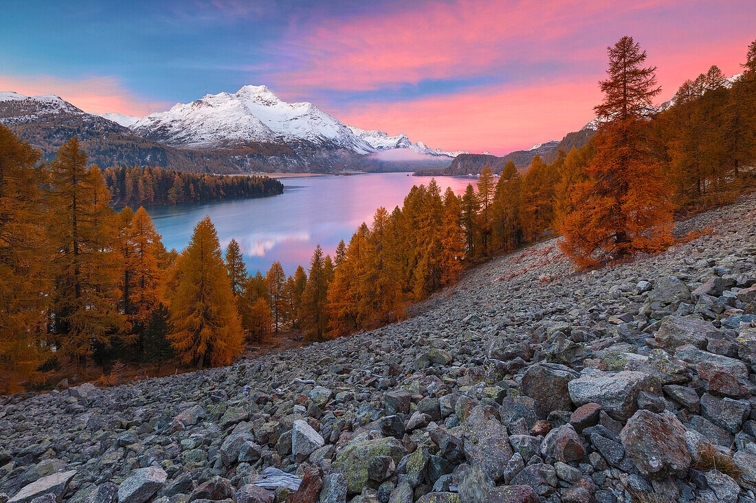 Herbstlicher Sonnenaufgang am Silsersee, Engadin, Kanton Graubünden, Bezirk Maloja, Schweiz, Europa