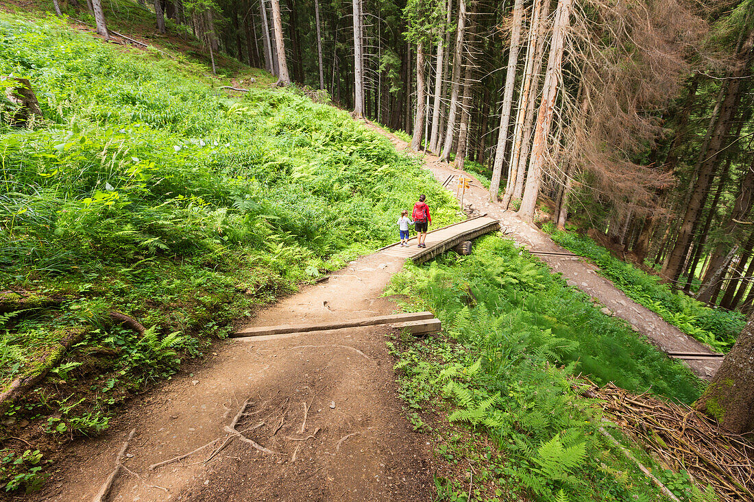 Mutter und Tochter gehen in den Wald, Rabbital (val di Rabbi), Provinz Trient, Trentino-Südtirol, Italien, Europa (MR)