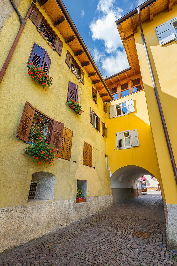 Pellizzano village, Sole valley (val di Sole), Trento province, Trentino-Alto Adige, Italy, Europe