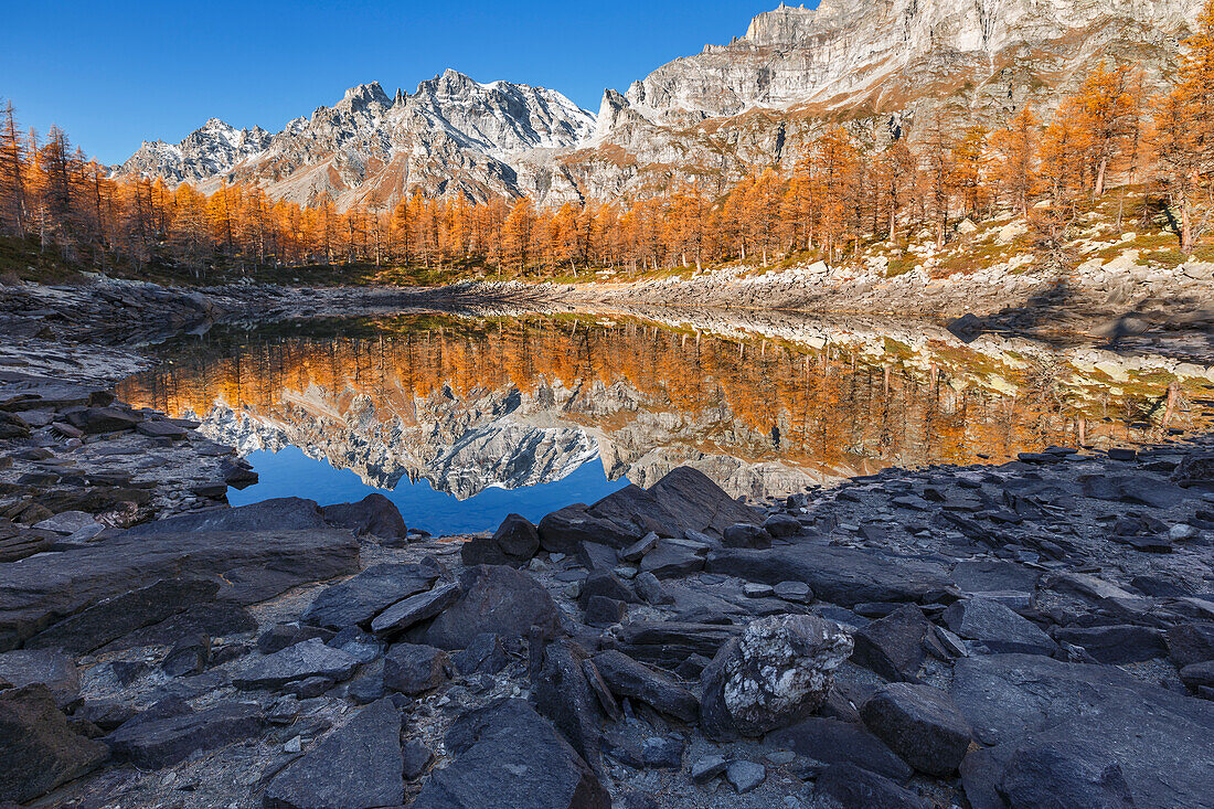 Herbstliche Reflexionen auf dem Nero See (lago Nero), Alpe Devero, Baceno, Alpe Veglia und Alpe Devero Naturpark, Provinz Verbano-Cusio-Ossola, Piemont, Italien, Europa