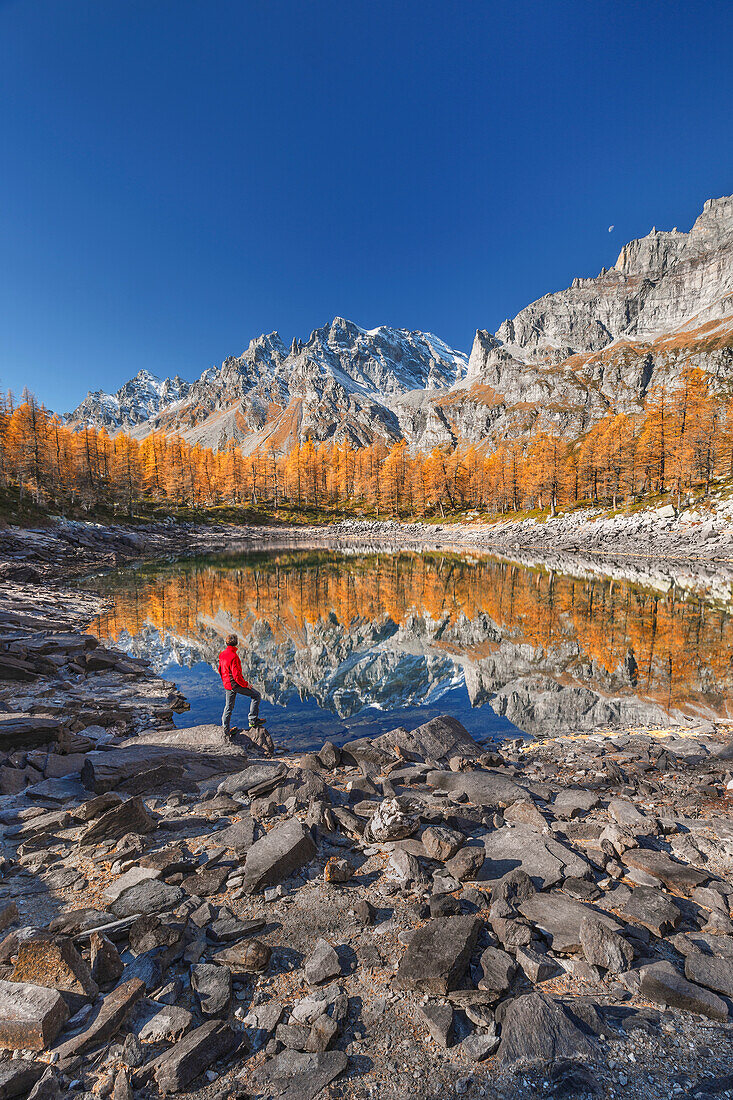 Hiker looks the Nero lake (lago Nero) in Autumn time, Alpe Devero, Baceno, Alpe Veglia and Alpe Devero natural park, province of Verbano-Cusio-Ossola, Piedmont, italy, Europe (MR)