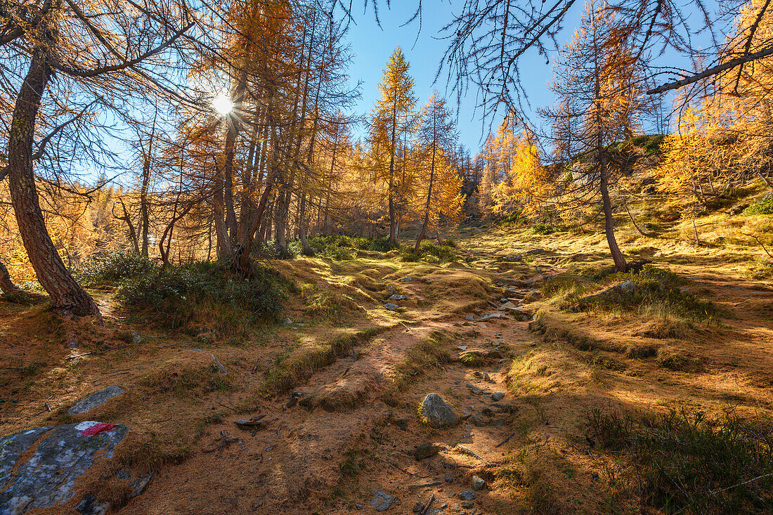 Herbstlicher Weg zum Nero-See (lago Nero), Naturpark Alpe Devero, Baceno, Alpe Veglia und Alpe Devero, Provinz Verbano-Cusio-Ossola, Piemont, Italien, Europa