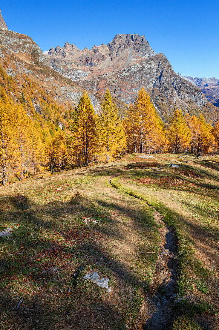 Autumnal landscape on the path of Nero lare (lago Nero), Alpe Devero, Baceno, Alpe Veglia and Alpe Devero natural park, province of Verbano-Cusio-Ossola, Piedmont, italy, Europe