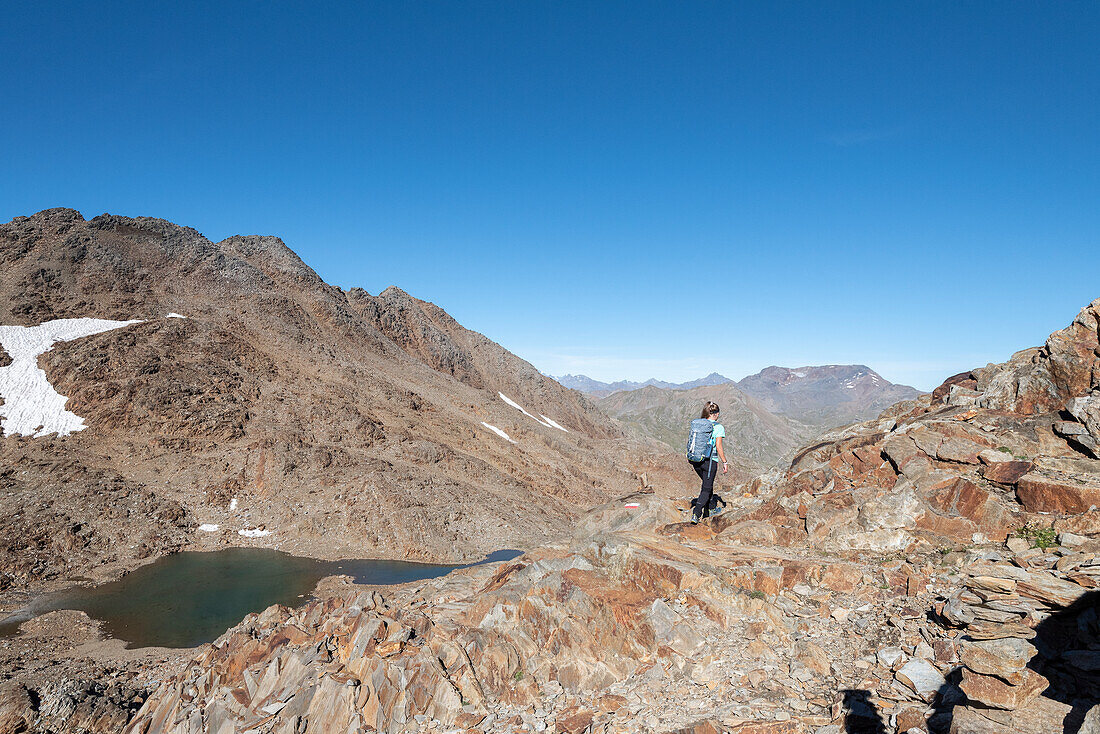 Girl walks on the ridge of Piz Vallumbrina in Gavia Valley, Valtellina, Sondrio Province, Lombardy, Italy, Europe