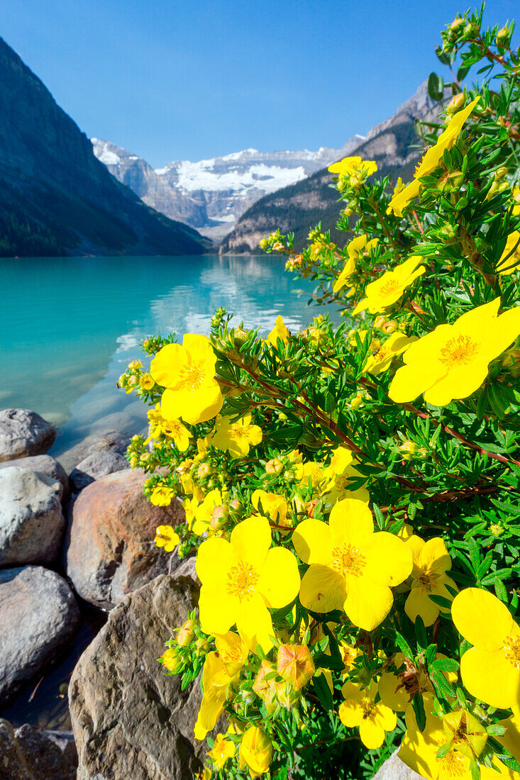 Lake Louise, Banff-Nationalpark, Alberta, Kanada