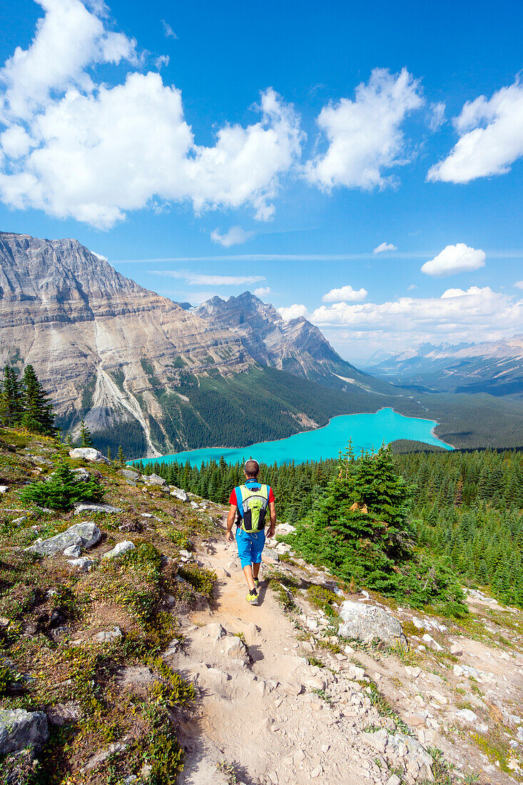 Peyto Lake, Icefield parkway, Banff national park, Alberta, Canada