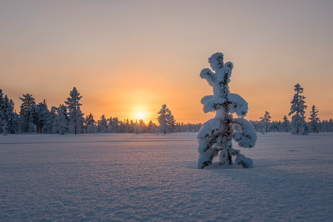Arctic sunrise, Lapland, Finland, Europe