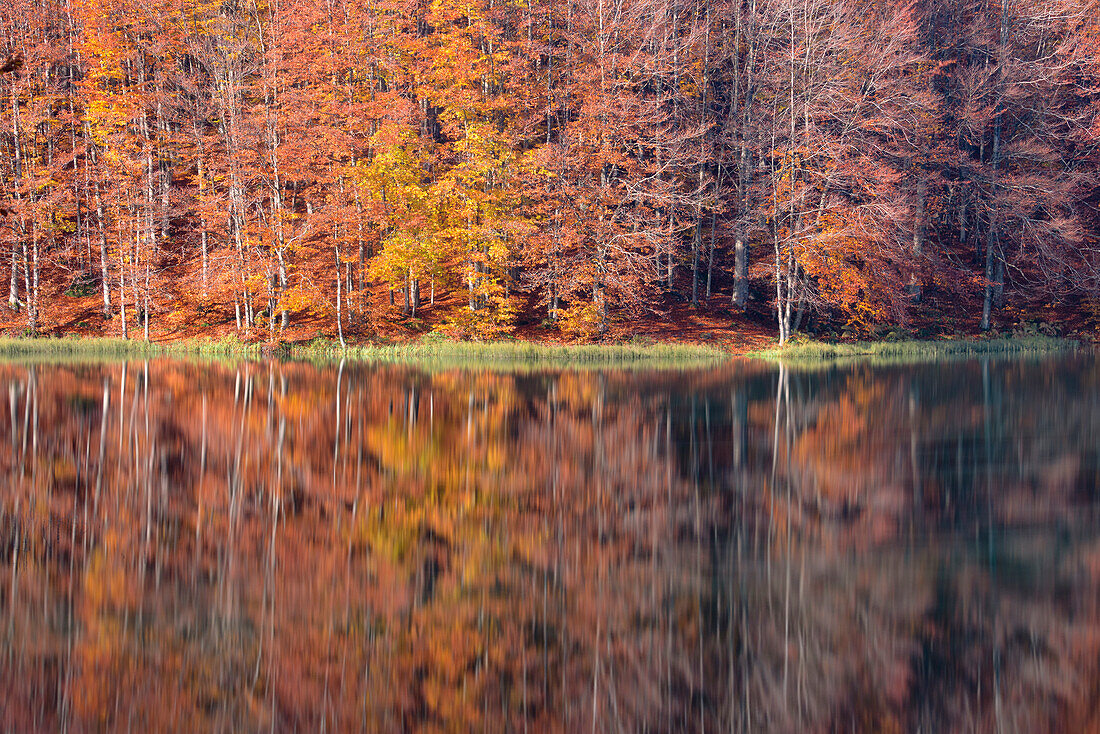 die prächtigen Farben des Herbstes in den Apenninen, Nationalpark Toskanisch-Emilianisches Gebiet, Gemeinde Ventasso, Provinz Reggio Emilia, Region Emilia Romagna, Italien, Europa