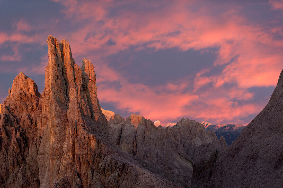 Torri del Vajolet peaks at sunset. Fassa valley, Dolomites, Trentino, Italy