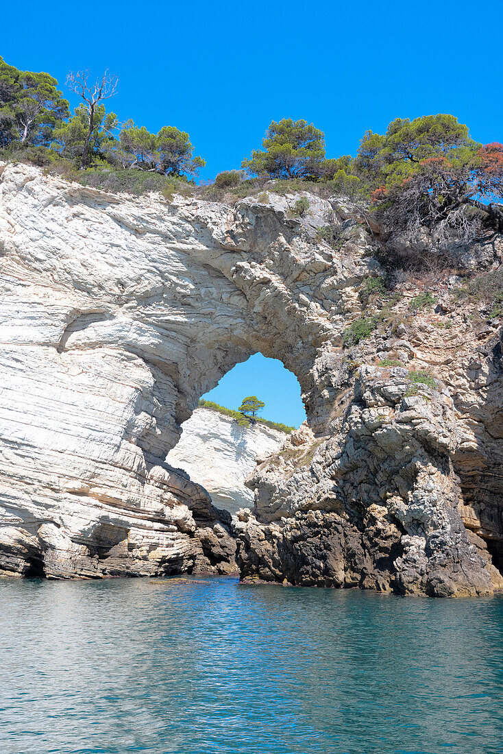 Blick auf die Küste des Gargano mit ihren weißen Klippen, Grotten und dem kristallklaren Meer, aufgenommen an einem Sommertag, Gemeinde Vieste, Provinz Foggia, Region Apulien, Italien, Europa