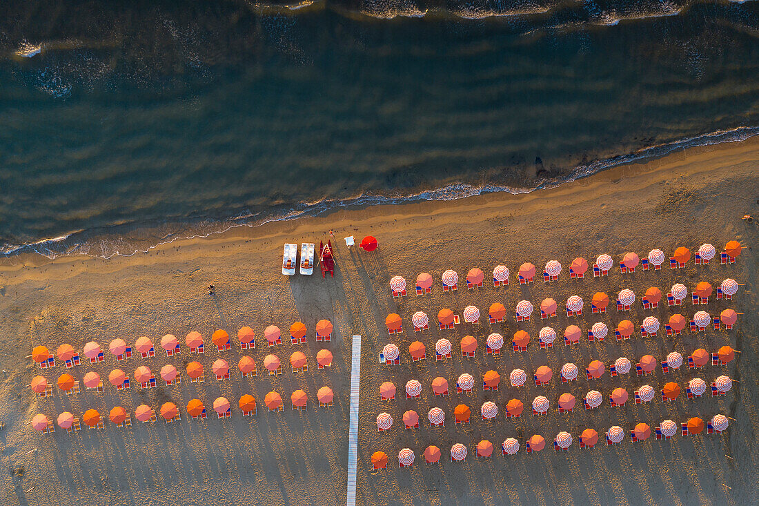 vertical aerial view of the equipped beach of Vieste, taken during a summer sunrise, municipality of Vieste, Foggia province, Apulia district, Italy, Europe