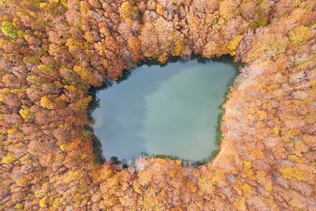 Drohnenaufnahme der Seenlandschaft von Cerreto Laghi während der Herbstlaubzeit, Nationalpark Toskanisch-emilianischer Apennin, Gemeinde Ventasso, Provinz Reggio Emilia, Region Emilia Romagna, Italien, Europa