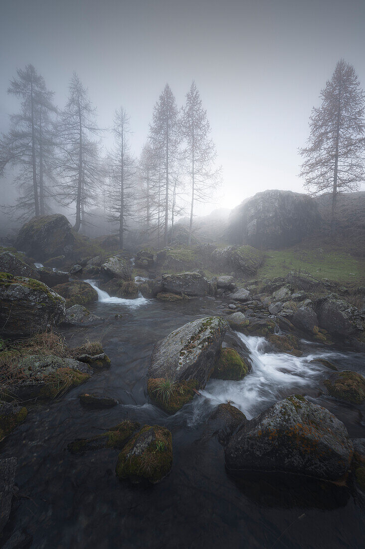 Guichard-Bach an einem Herbsttag mit Nebel, Pellice-Tal, Piemont, Italien.