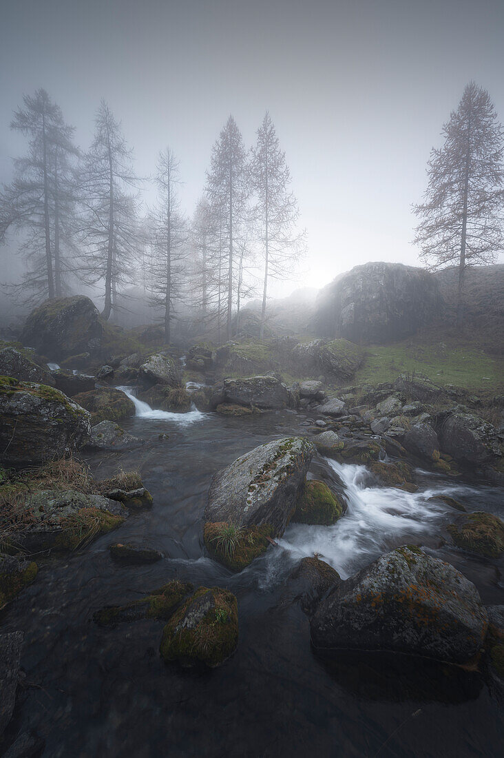 Guichard creek on an autumn day with fog, Pellice valley, Piedmont, Italy.