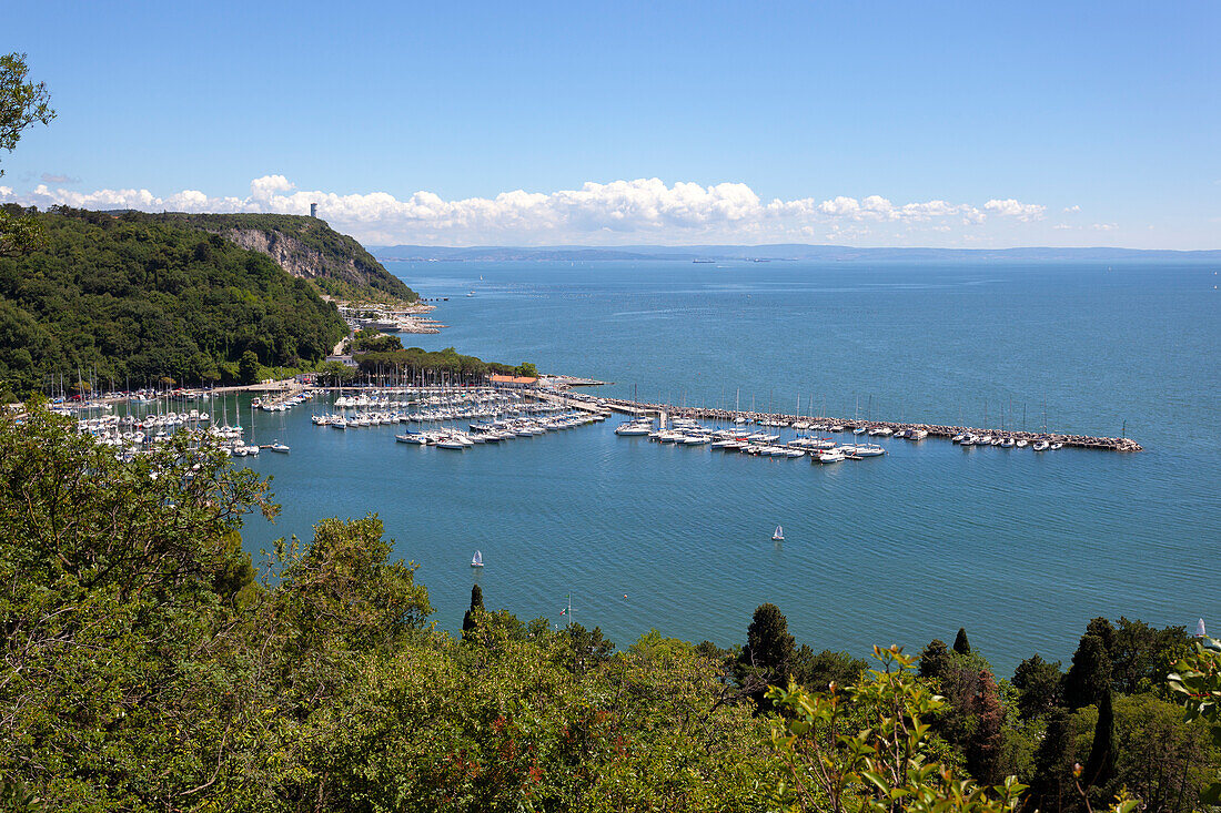 Sistiana Bay and gulf of Trieste from Rilke Trail, Sistiana Mare, Duino-Aurisina, Trieste province, Friuli - Venezia Giulia, Italy.