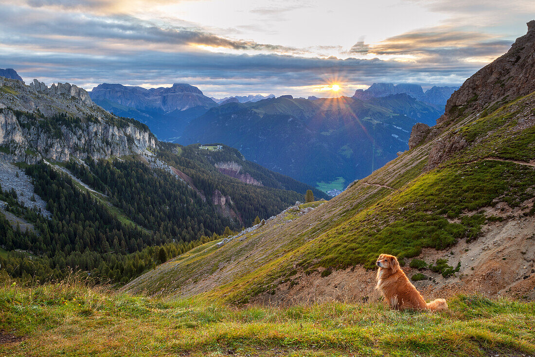 Der Hund der Roda di Vael-Hütte bei Sonnenaufgang, Dolomiten, Rosengartengruppe, Fassatal, Provinz Trient, Trentino-Südtirol, Italien