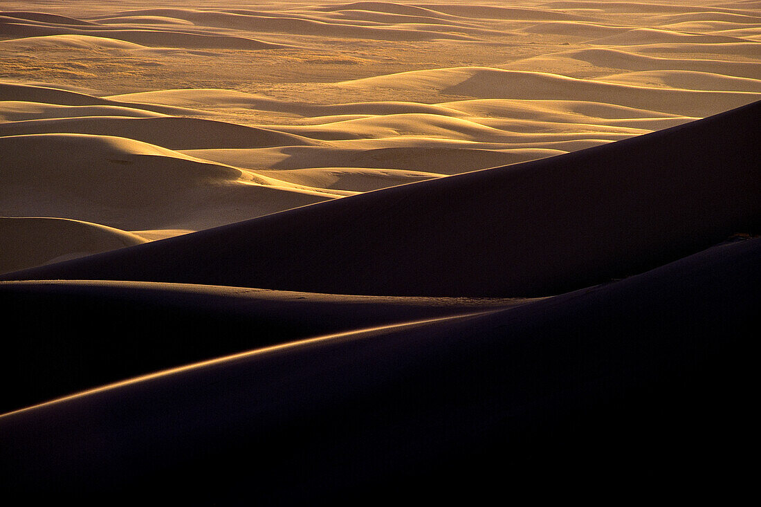 Dünen im Sonnenuntergang im Great Sand Dunes National Park and Preserve, Mosca, CO, USA