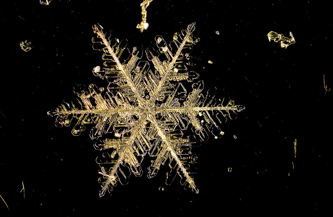 Einzelne Schneeflocken sind schwer zu fotografieren, da sie schnell schmelzen, es sei denn, es ist extrem kalt. Ihre zarten Kristallformen bilden in der Regel ein Sechseckmuster, und keine Schneeflocke gleicht der anderen.