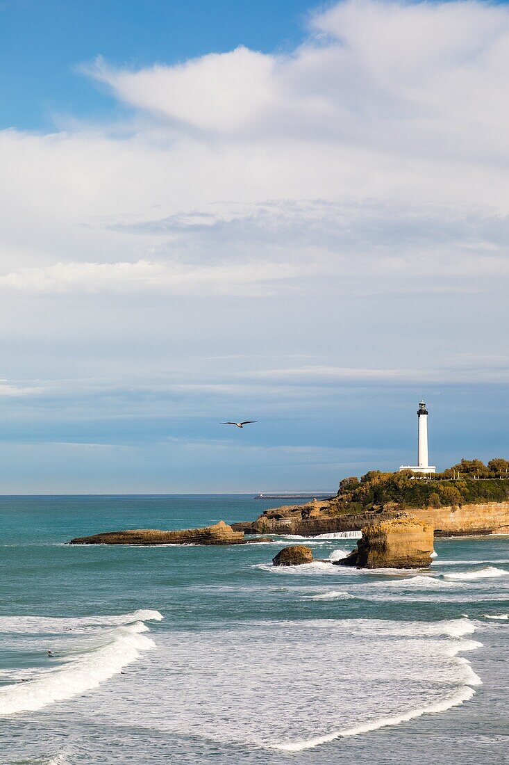 Möwen fliegen auf den Leuchtturm von Biarritz zu, Atlantikküste, Departement Pyrenees-Atlantiques, Region New Aquitaine, Biarritz, Frankreich