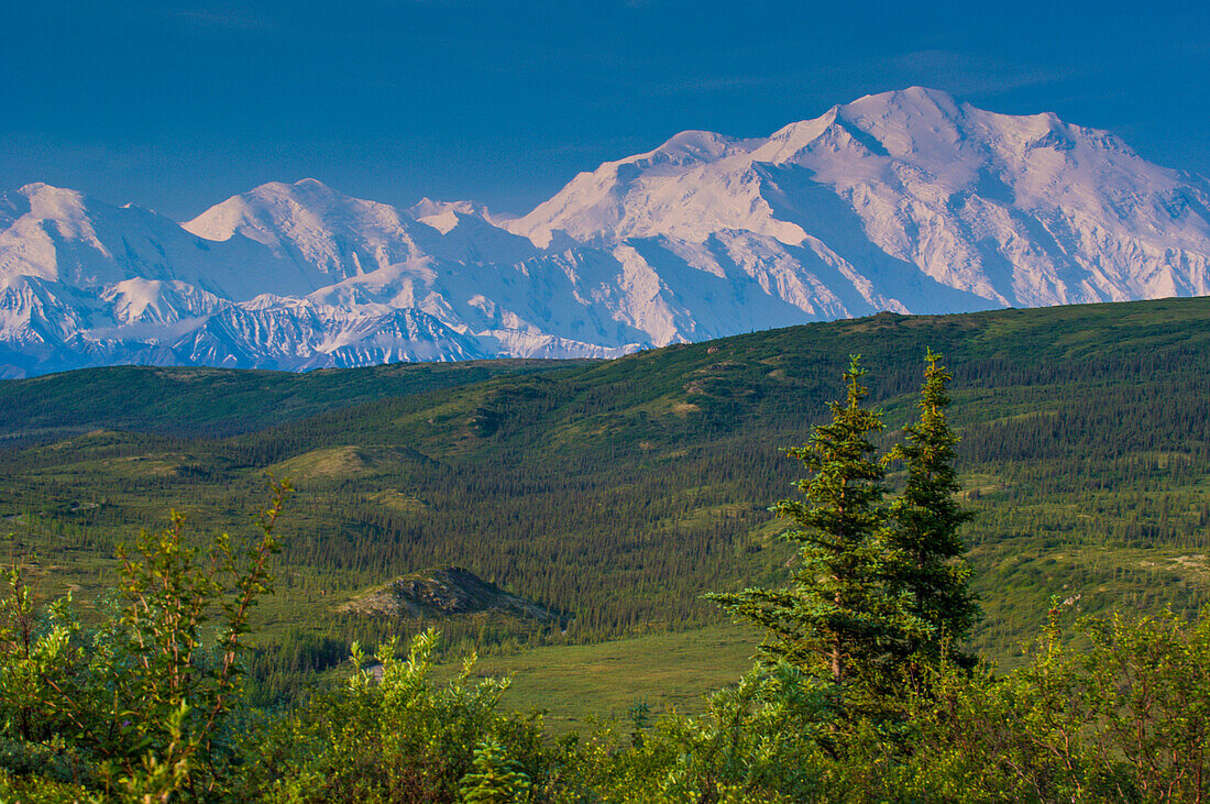 MOUNT DENALI (Mt. McKinley) in Denali National Park, Alaska, USA.