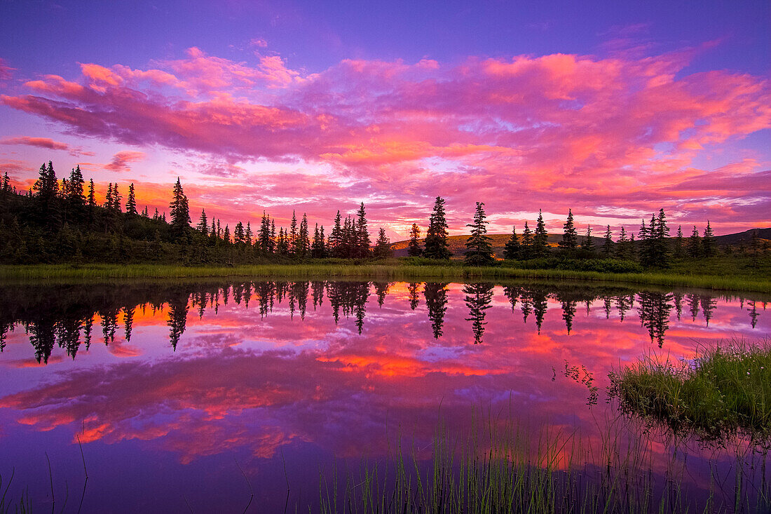 INTENSE Sonnenuntergang reflektiert im Nugget Pond, Denali National Park, Alaska