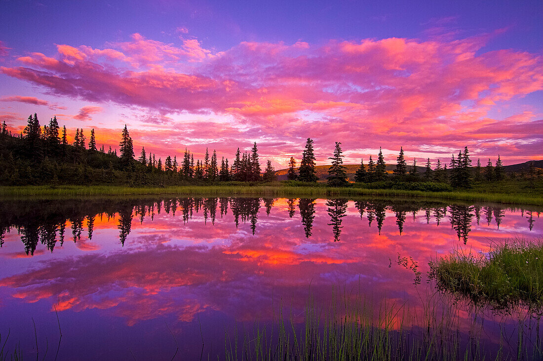 INTENSE Sunset Reflected in Nugget Pond, Denali National Park, Alaska