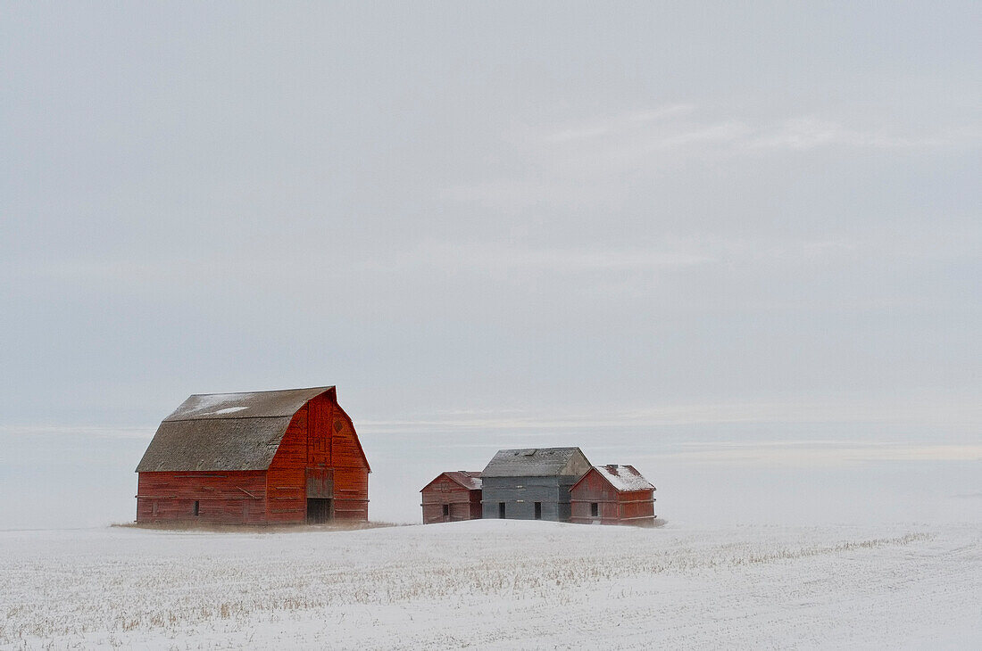Old barns in prairie snowstorm and fog.