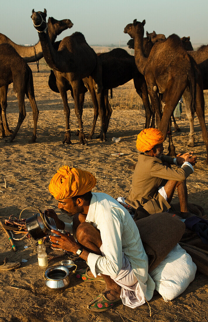 In the ground in Pushkar Camel Fair