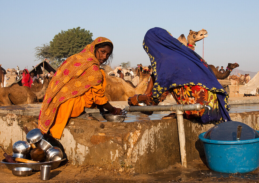 Auf dem Boden in Pushkar Camel Fair