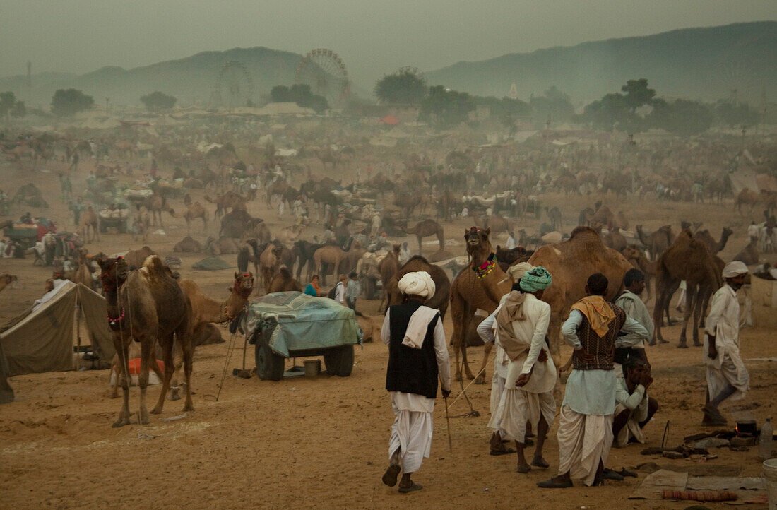 Auf dem Gelände des Kamelmarktes in Pushkar