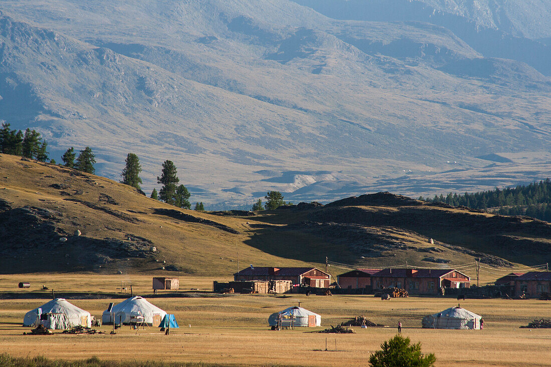 Gers in the steppe