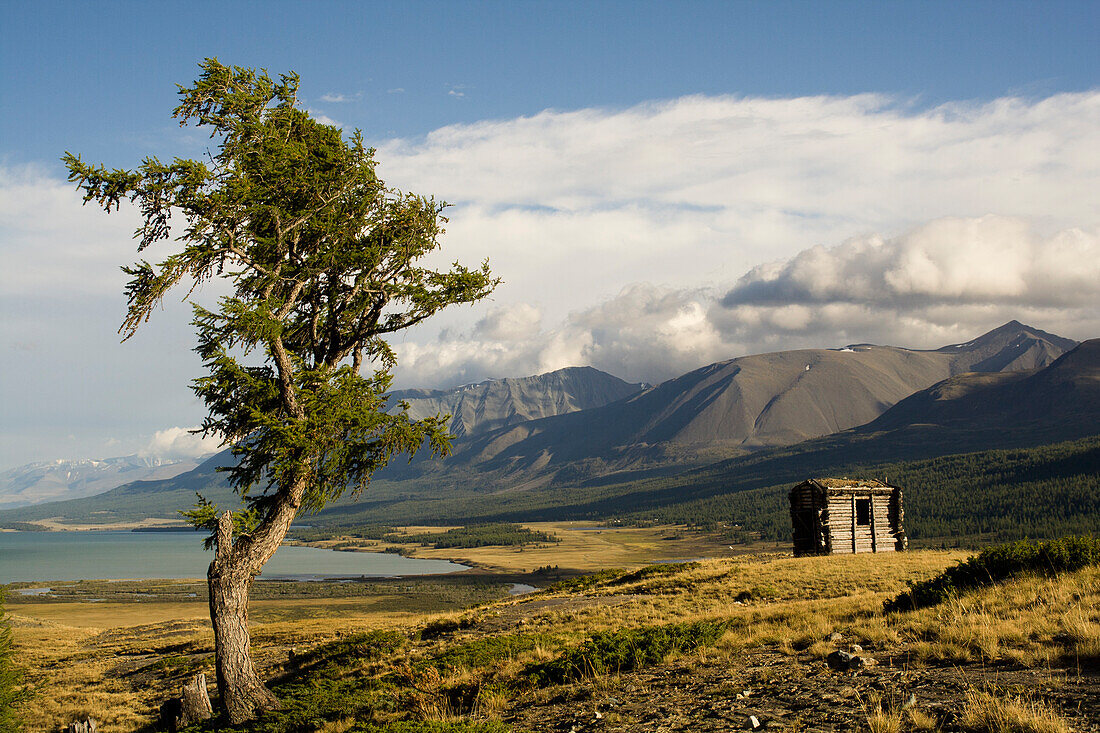 Landschaft in der Mongolei