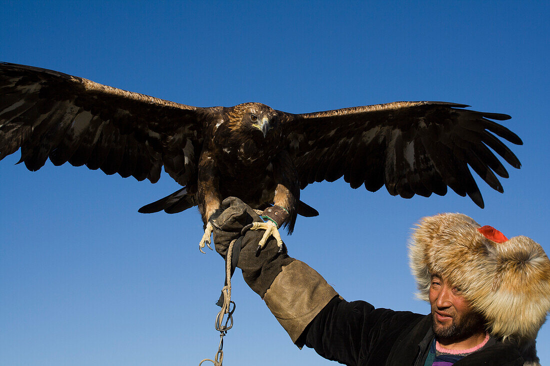 Eagle-hunter in Sagsai