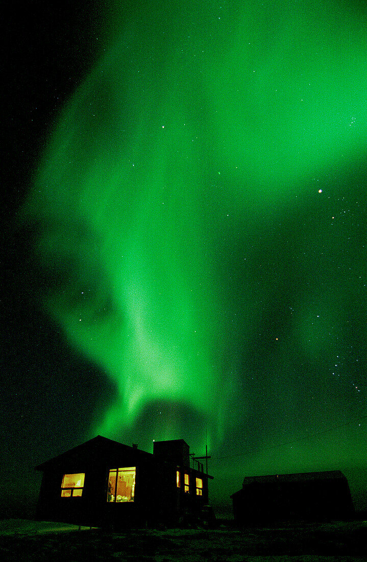 Aurora Borealis Nordlicht über der Tundra in der Hudson Bay bei Churchill, Manitoba, subarktisch, Nordkanada