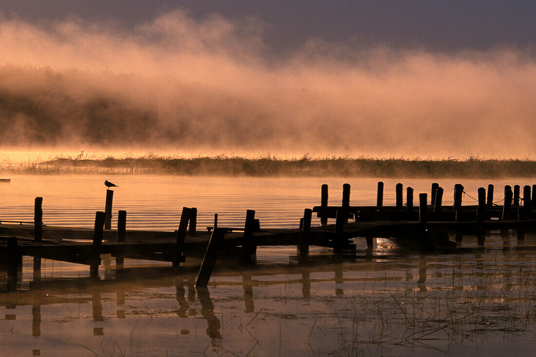 Sonnenaufgang mit Nebel und Bootsanleger über dem Lake of the Woods bei Warroad Minnesota USA