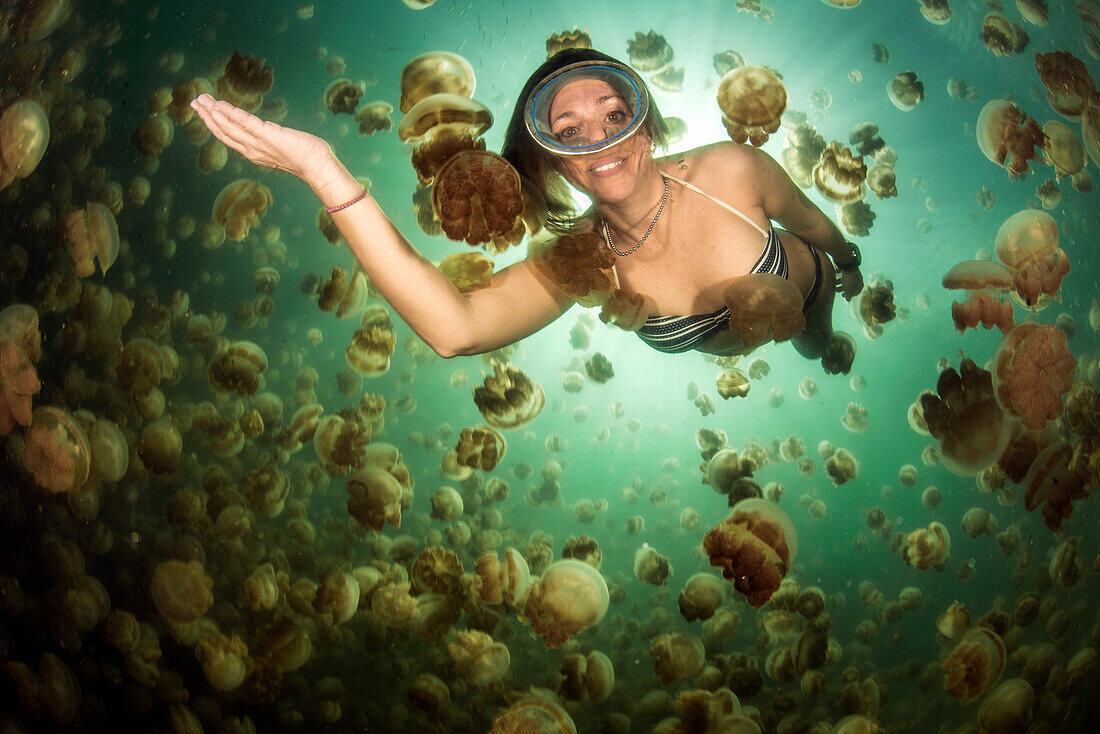 A smiling female diver among the golden jellyfish (Mastigias papua) of Jellyfish Lake, on the island of Eil Malk (Republic of Palau, Micronesia).