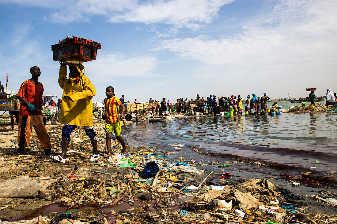 Fish market morning in Saint_Louis when the canoes arrive loaded with fish from the Atlantic ocean to sell it