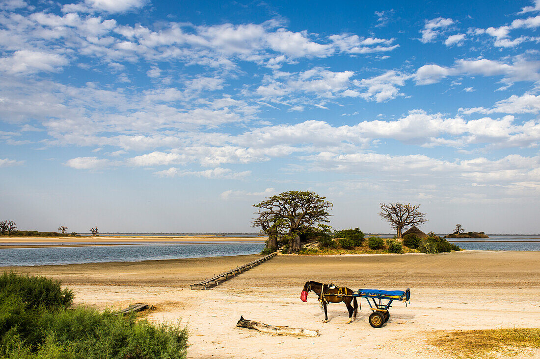 Pferd und Wagen rasten im Saloum-Delta