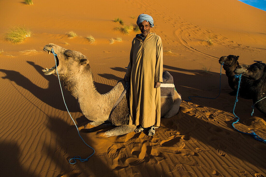 Kameltreiber mit seinen Kamelen in den Sanddünen des Erg Chebbi