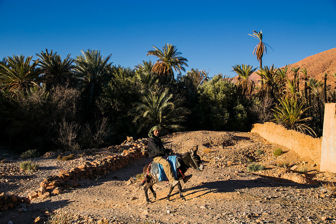 Jemand in einer Oase in der Region Tafrout im Anti-Atlas