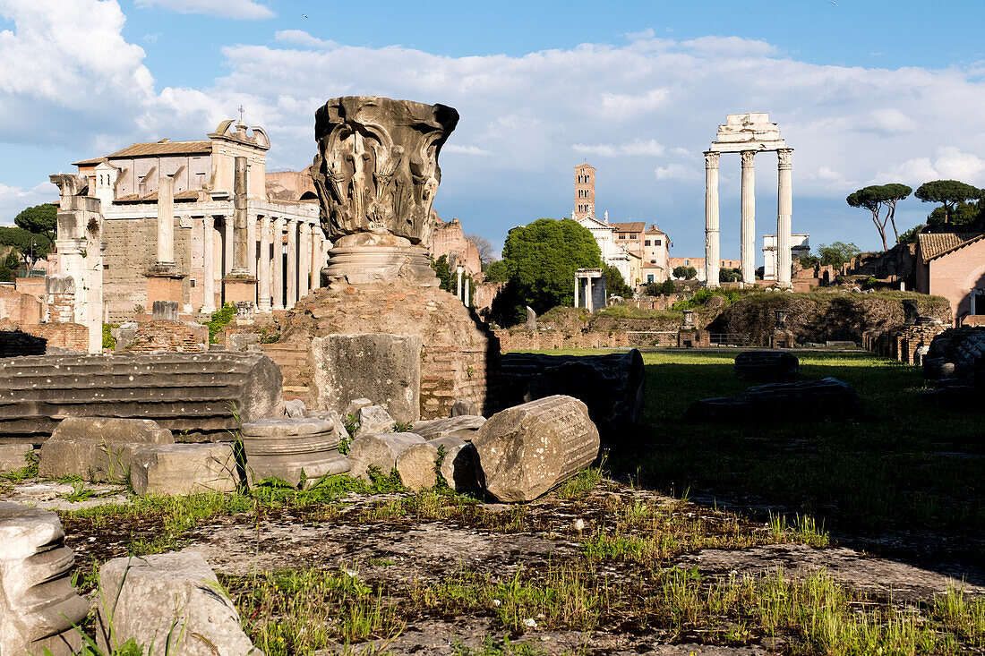 Ruins of the ancient Rome in the Roman Forum