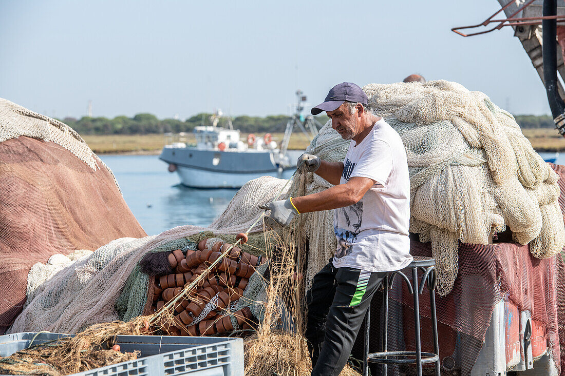 Mann entwirrt Fischernetze am Kai, Fischereihafen, Punta Umbria, Spanien